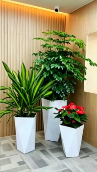 江北花木租摆品种-江北花木租摆服务费-宁波绿化养护施工材料-江北室内花木出租方案